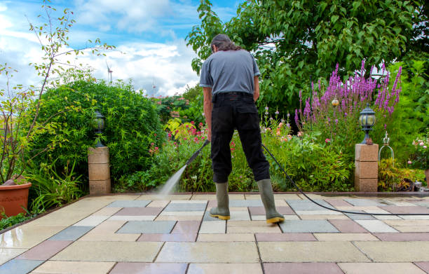 Animal Enclosure Cleaning in Emigsville, PA